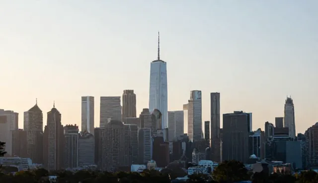 采购需求如何影响行业分类查询的准确性